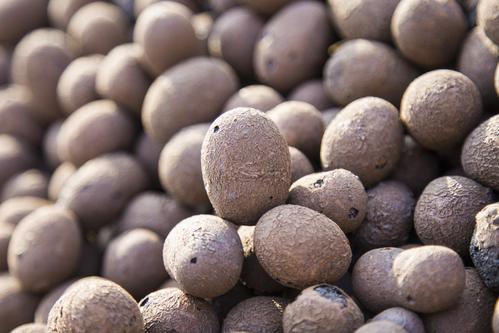 江西達(dá)人輕質(zhì)陶粒 江西達(dá)人輕質(zhì)陶粒